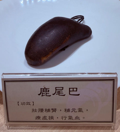 鹿尾2號 (請親臨預防中心選購。)